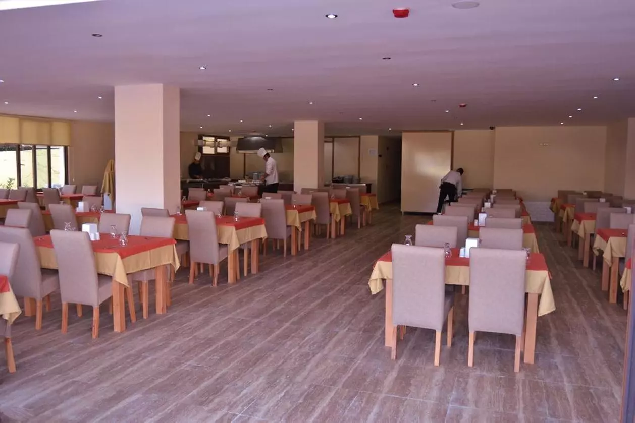 BELMARE_SHABAVIZ (17).jpg